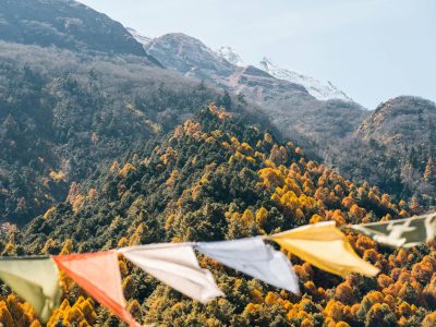 81d672d18708cd1cf0b23a32e589772438bb3b53